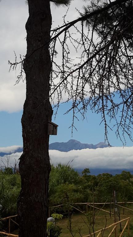 B&B L'Albero Di Antonia Atri Kültér fotó