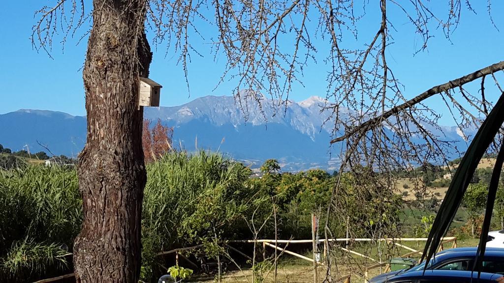 B&B L'Albero Di Antonia Atri Kültér fotó