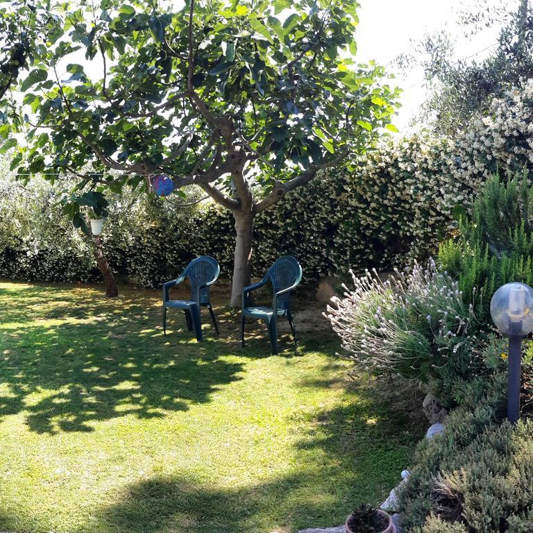 B&B L'Albero Di Antonia Atri Kültér fotó