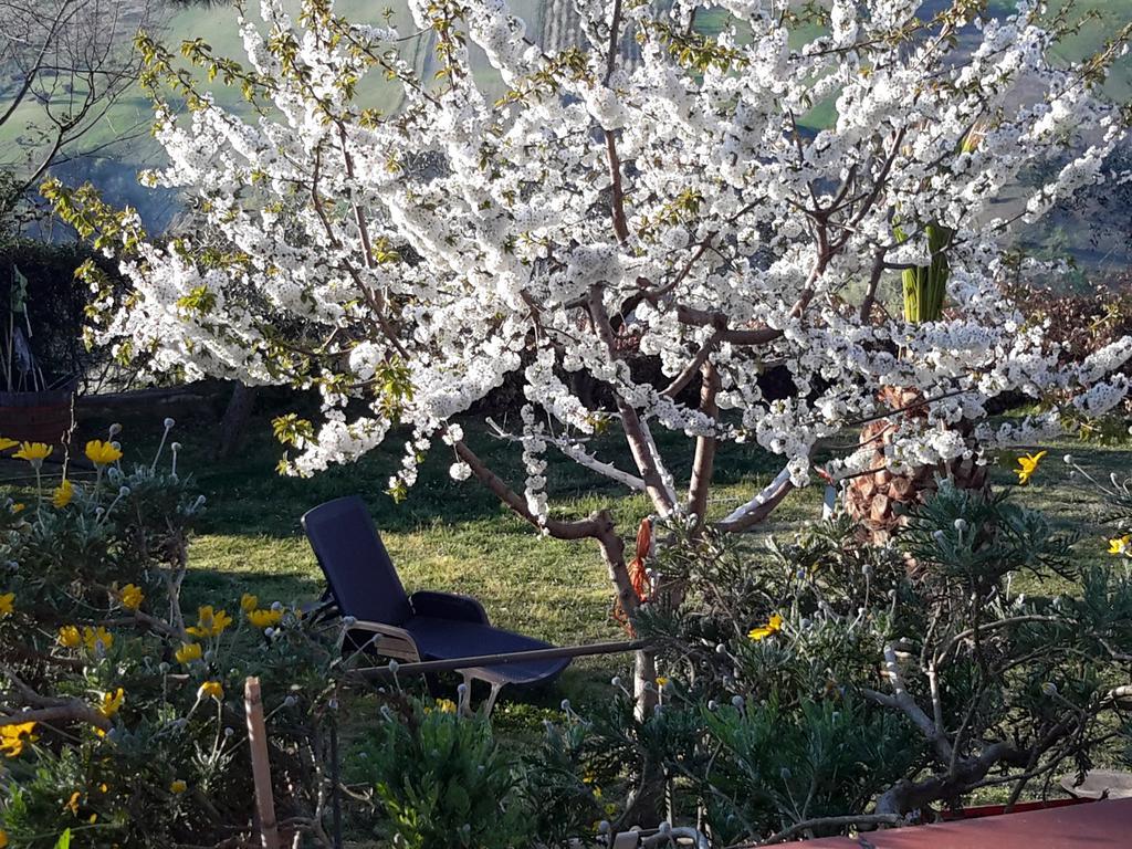 B&B L'Albero Di Antonia Atri Kültér fotó